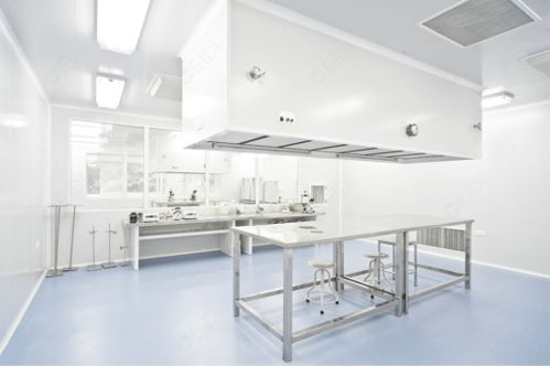 蘇州工業(yè)園gmp工廠車間的裝修和設(shè)計